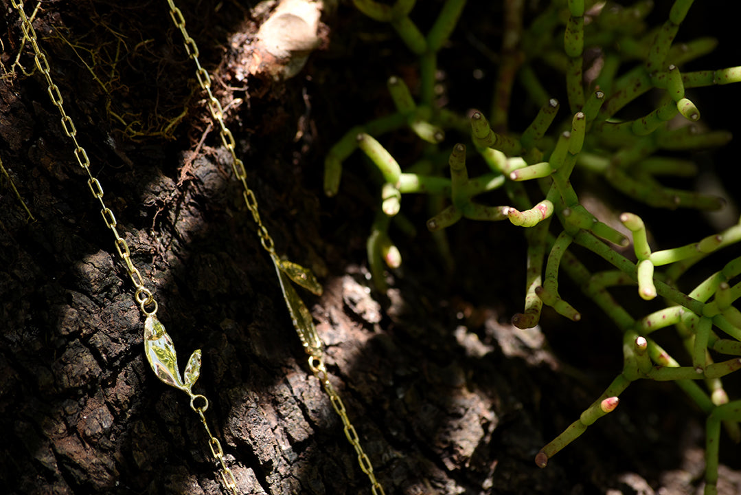 Escapulário arruda - The Leaf®