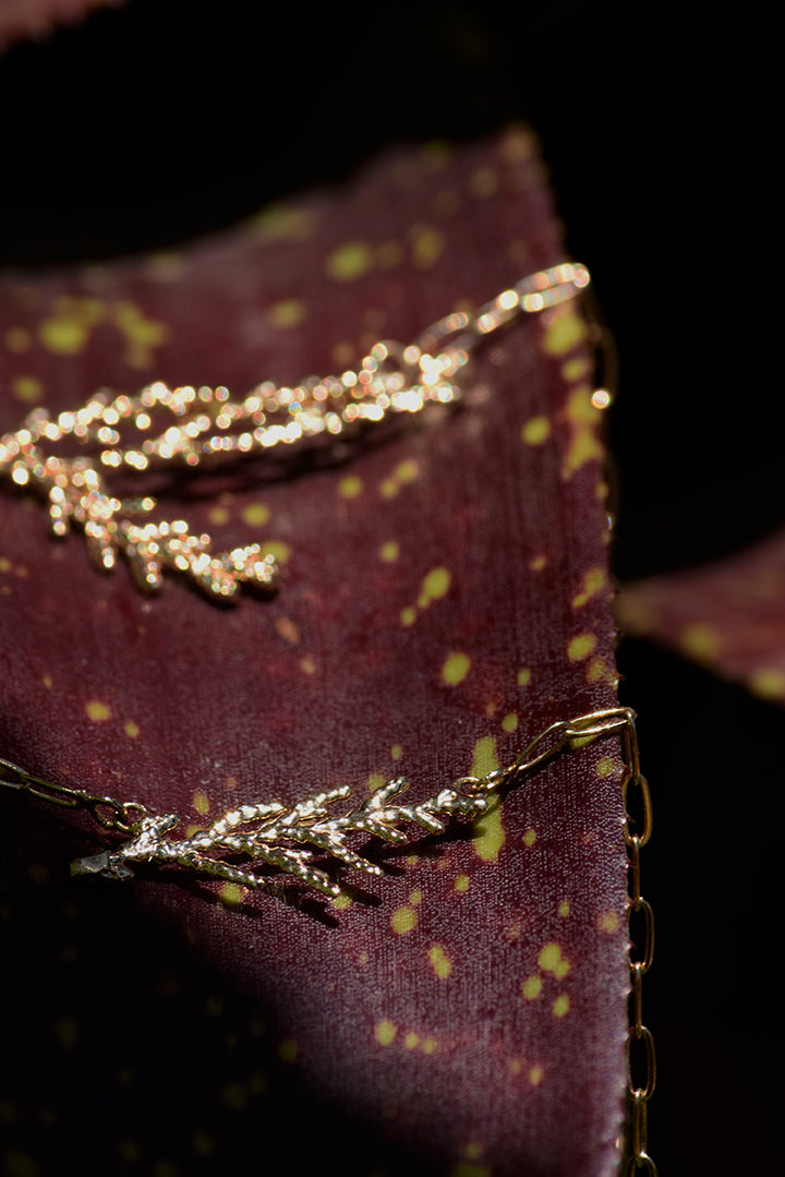 Escapulário de tuias