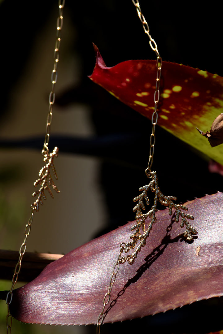 Escapulário de tuias