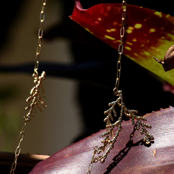 Escapulário de tuias