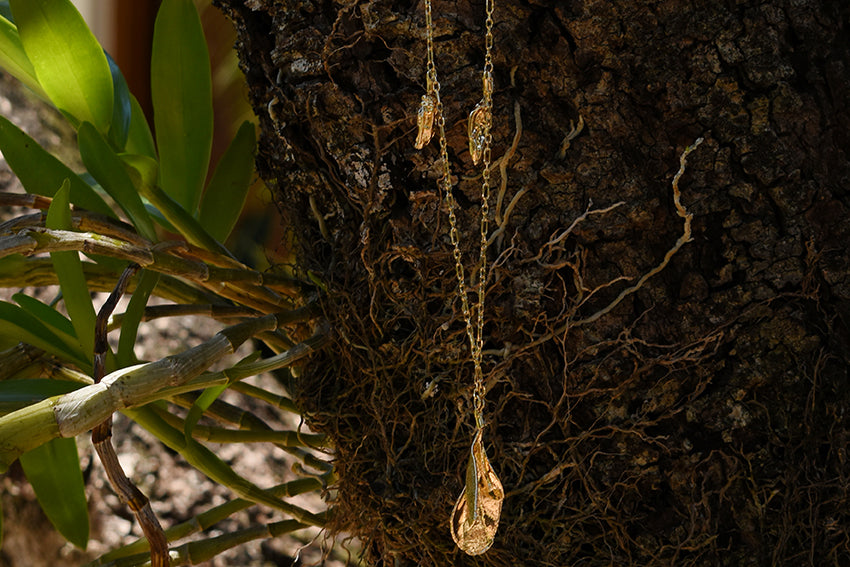 Colar arruda gigante e pimentinhas