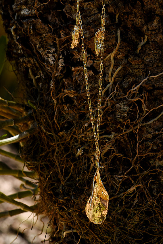 Colar arruda gigante e pimentinhas