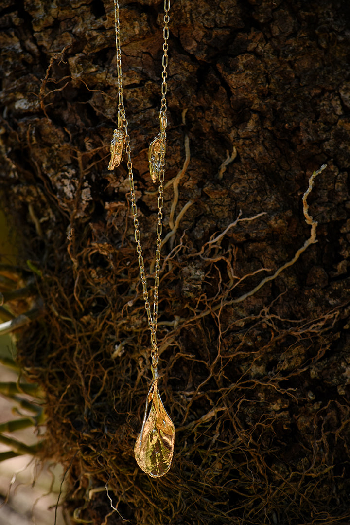 Colar arruda gigante e pimentinhas