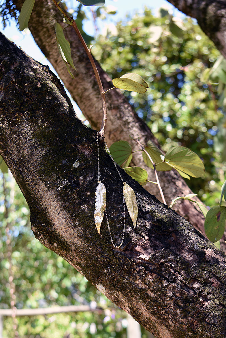 Escapulário folhas de mangueira