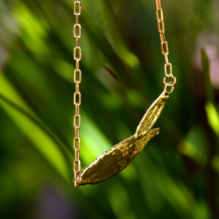 Colar folhas arruda unidas