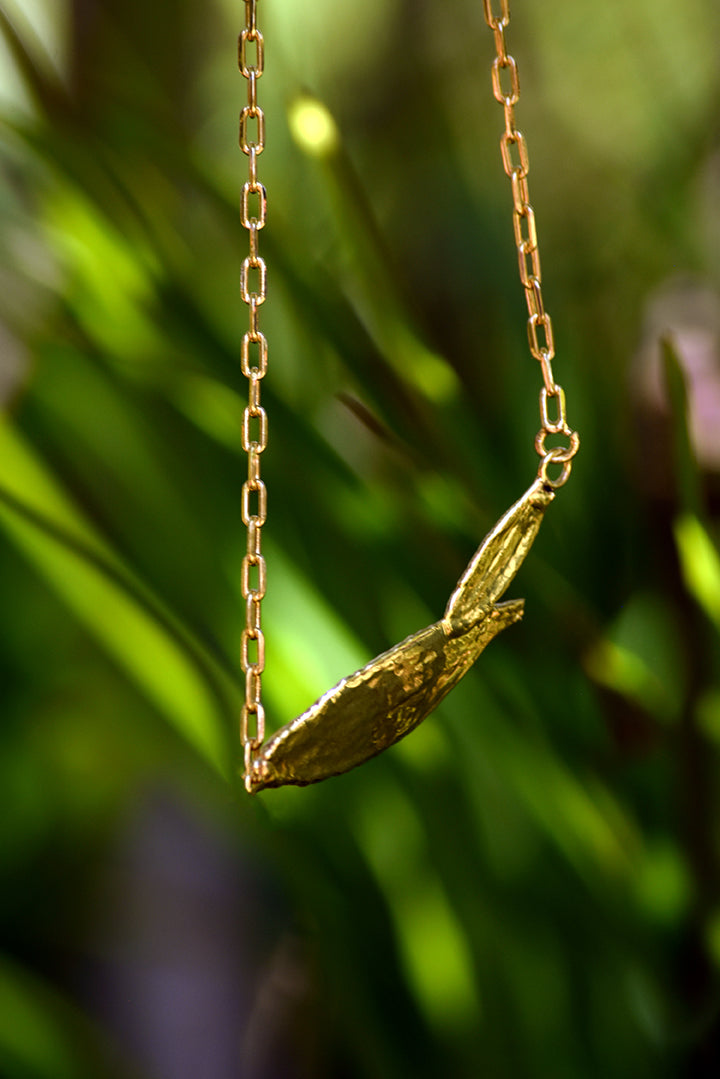 Colar folhas arruda unidas