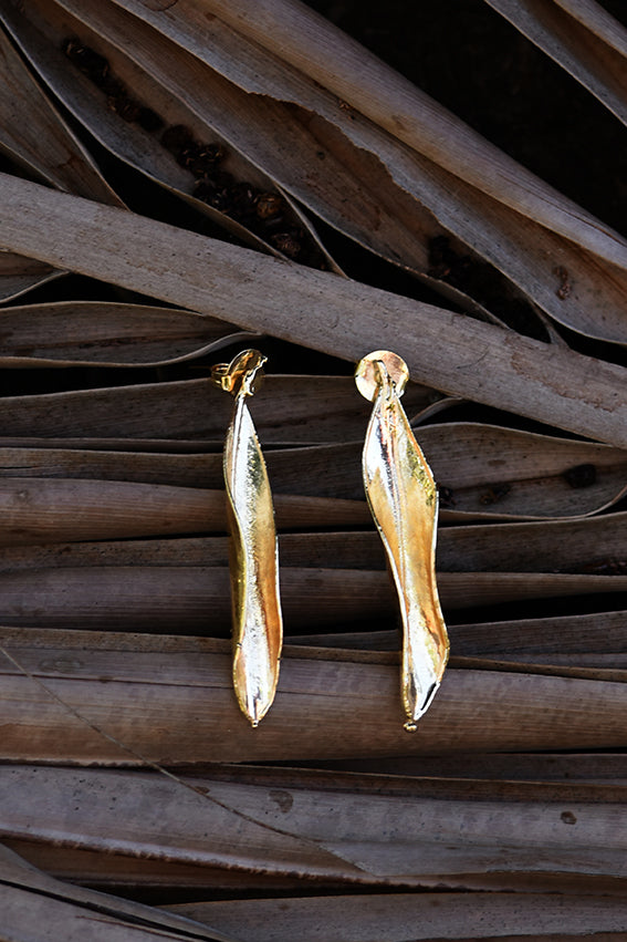 Brincos folhas de Oliveira